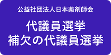 代議員選挙・補欠の代議員選挙